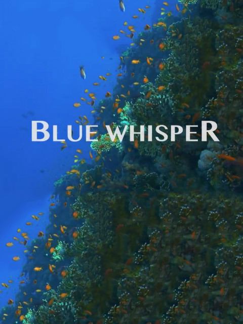 海中细语