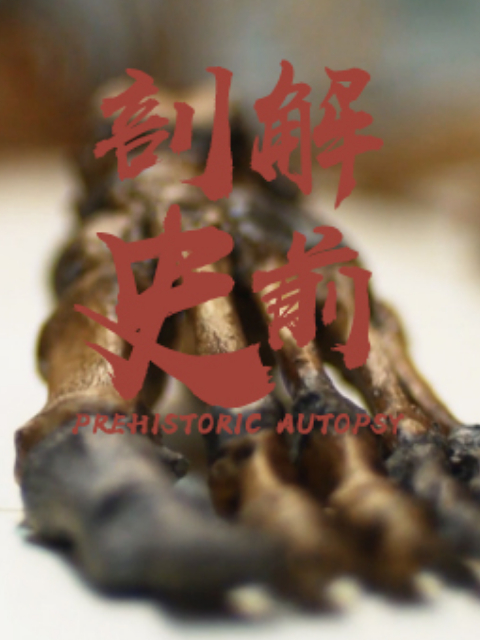 剖检史前