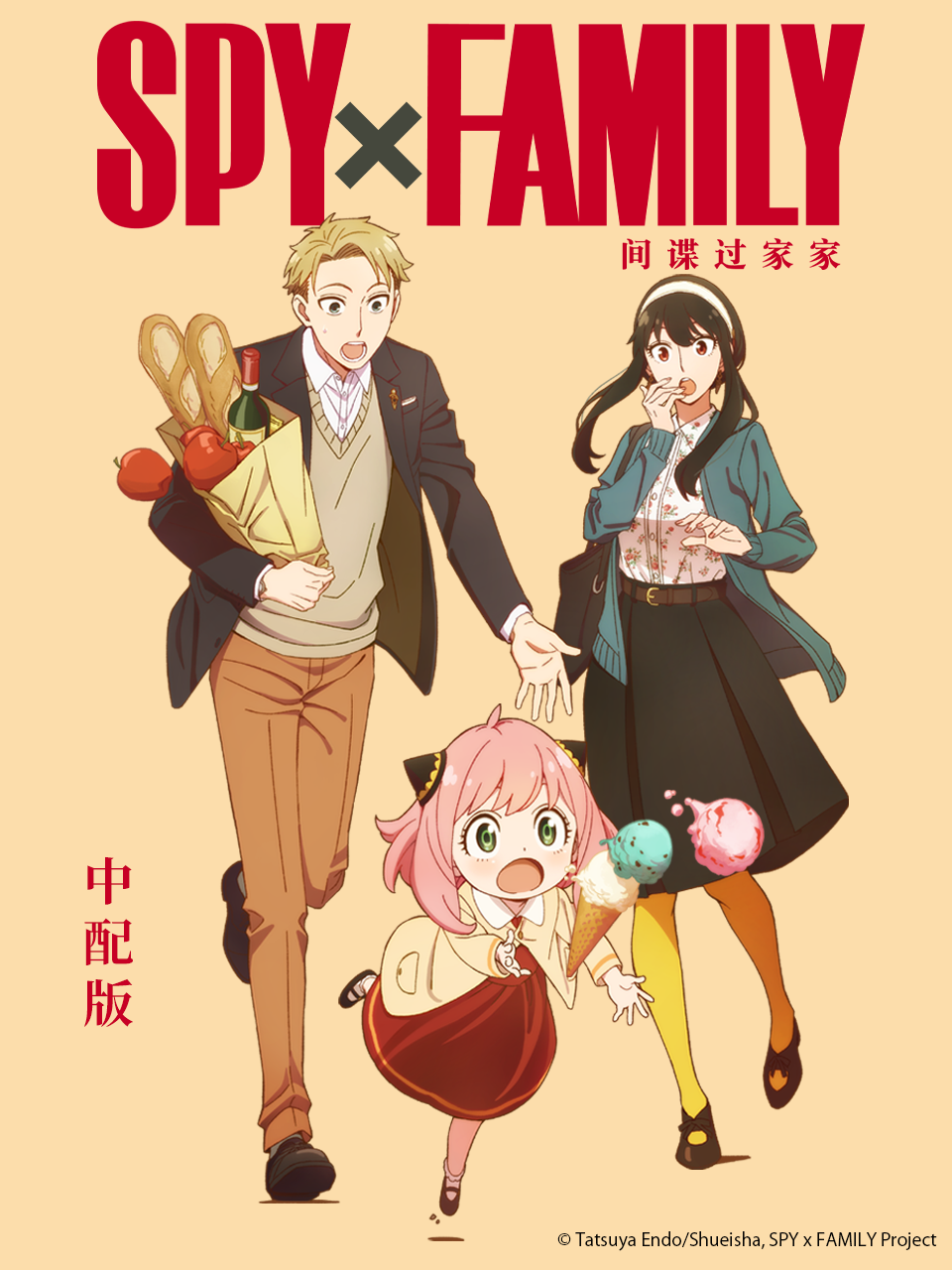 间谍过家家 中配版