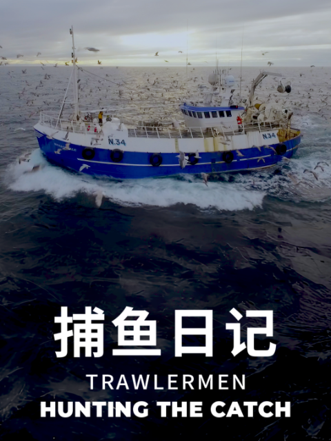 捕鱼日记