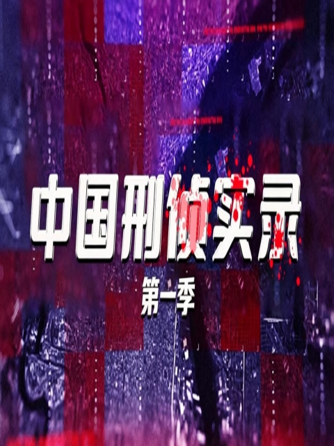 中国刑侦实录第一季