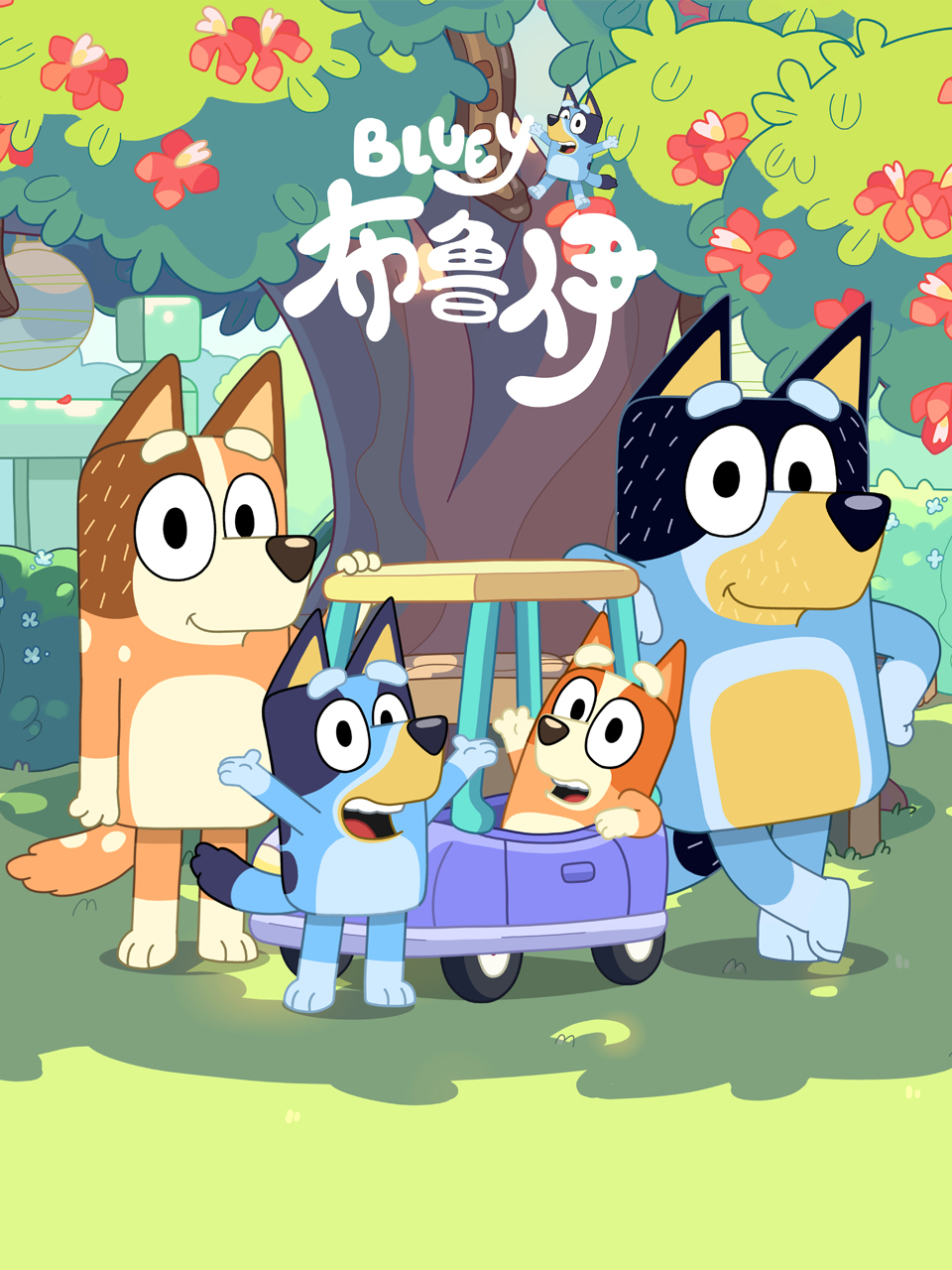 布鲁伊 第二季 中文配音