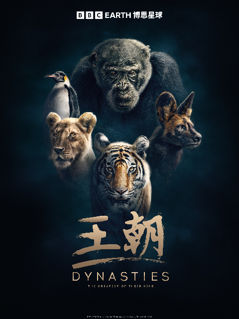 王朝（中配版）