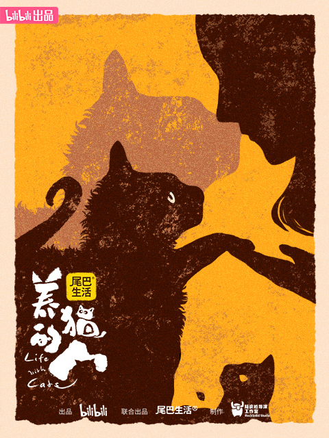 养猫的人
