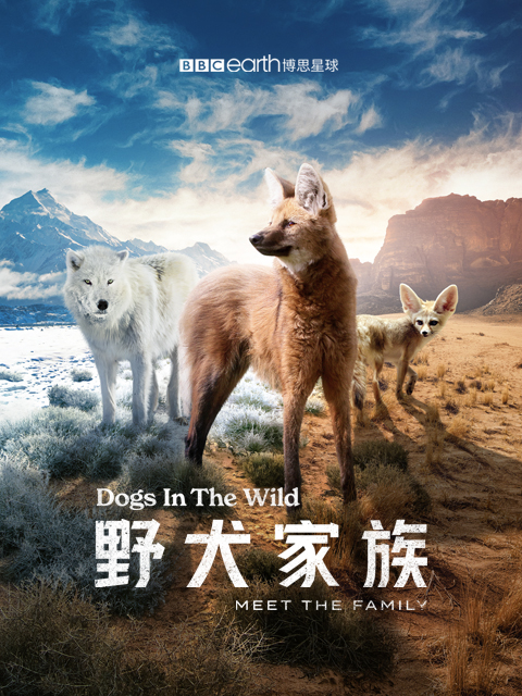 野犬家族（中配版）