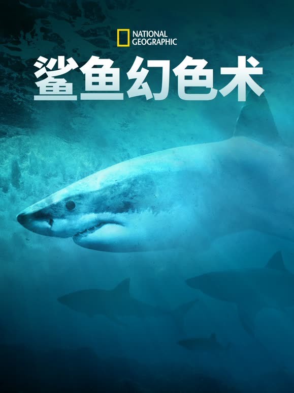 鲨鱼幻色术