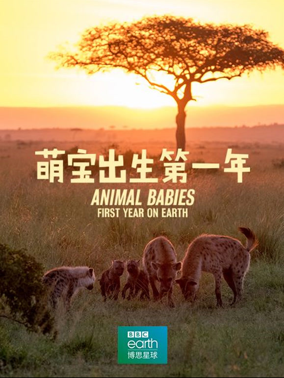萌宝出生第一年