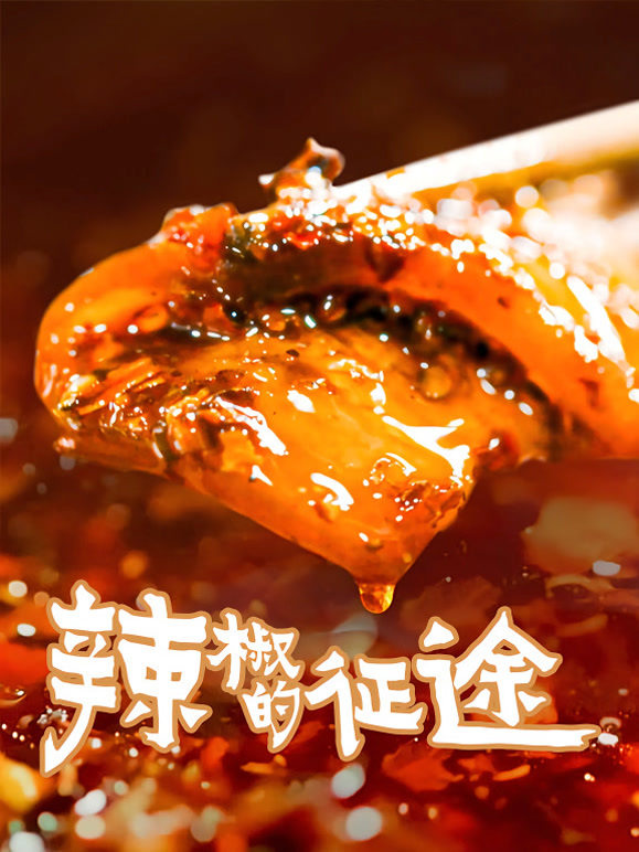 辣椒的征途
