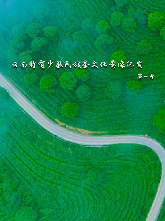 云南特有少数民族茶文化影像纪实系列第一季