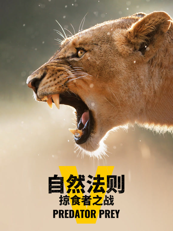 自然法则：掠食者之战