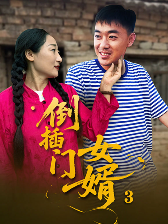 倒插门女婿3