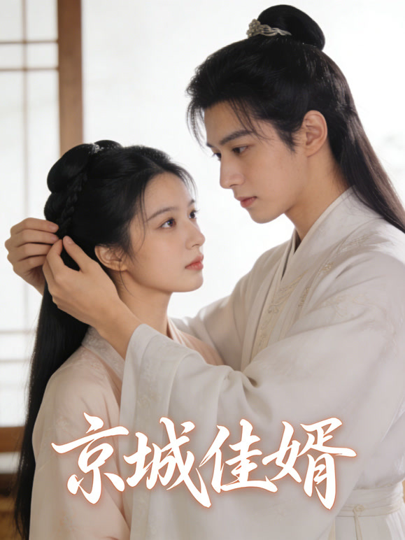 京城佳婿