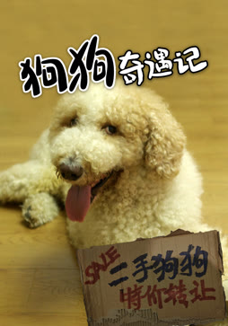 狗狗奇遇记