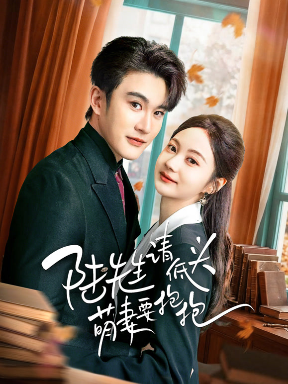 陆先生请低头萌妻要抱抱