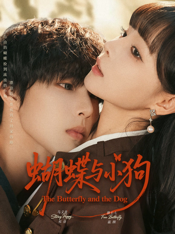 蝴蝶与小狗