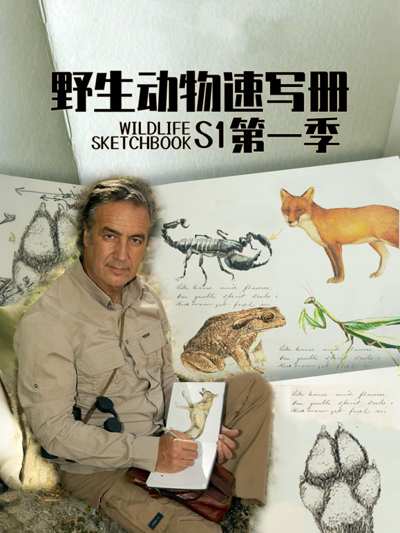 野生动物速写册