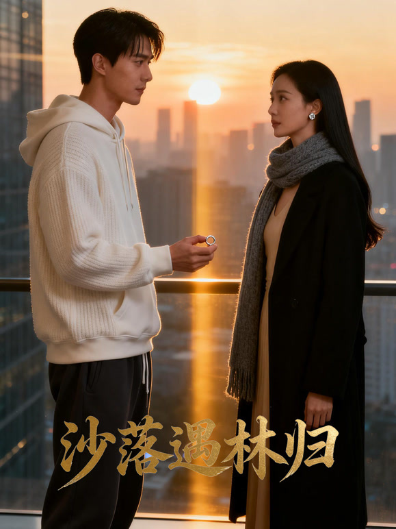 沙落遇林归