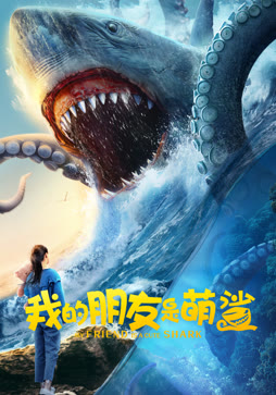 我的朋友是萌鲨