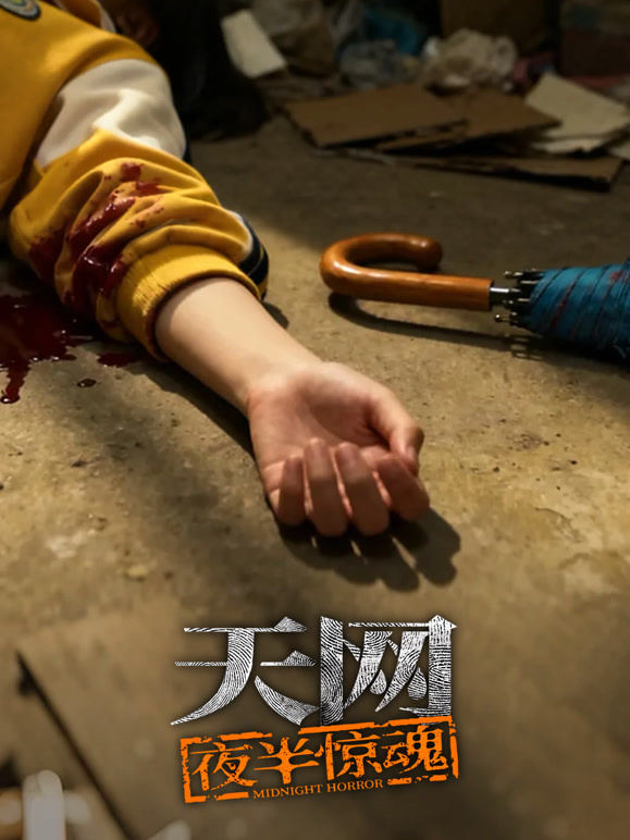 天网：夜半惊魂