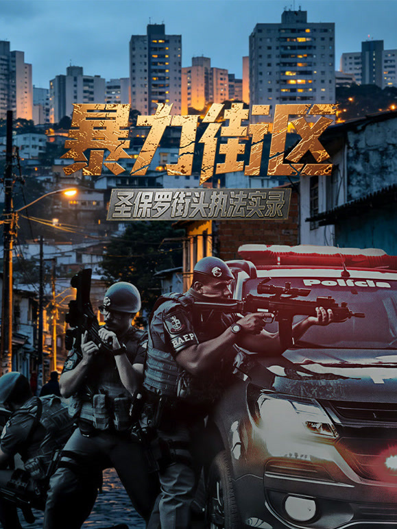暴力街区：圣保罗街头执法实录