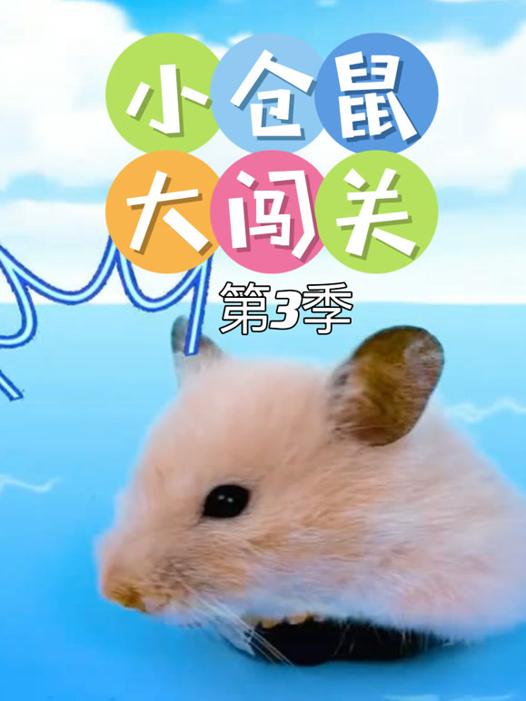 小仓鼠大闯关 第三季