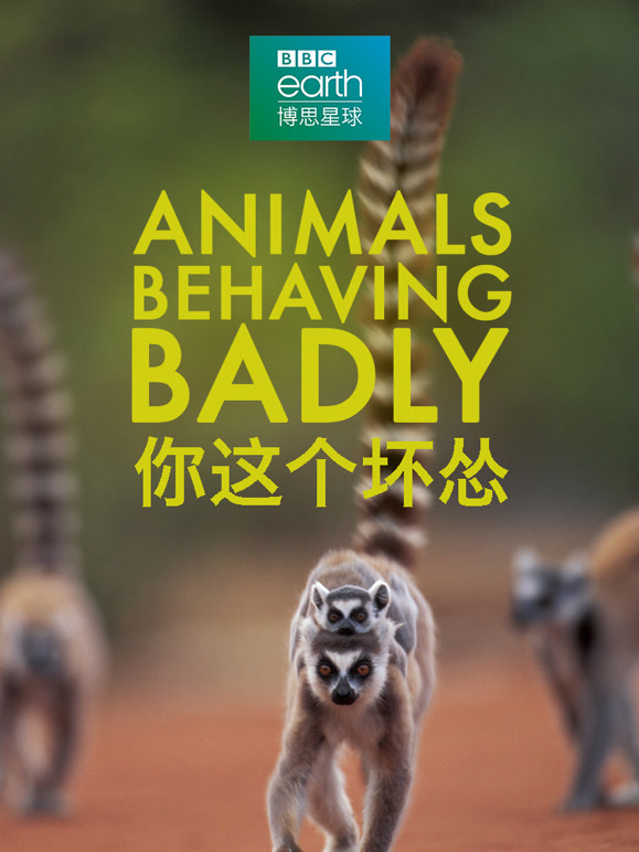 你这个坏怂