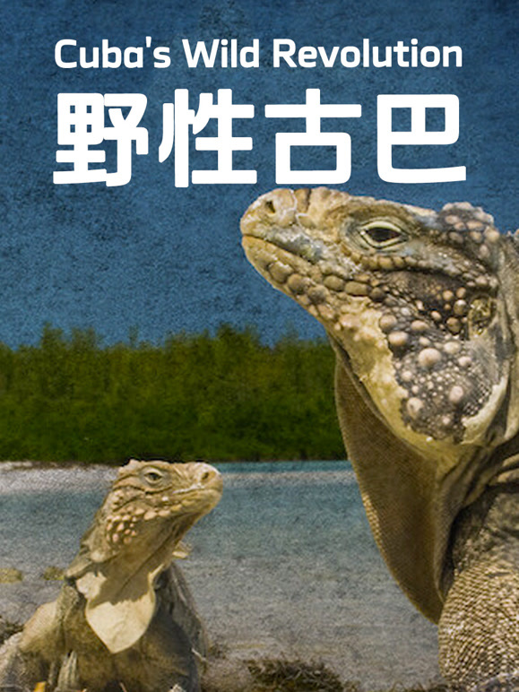 野性古巴