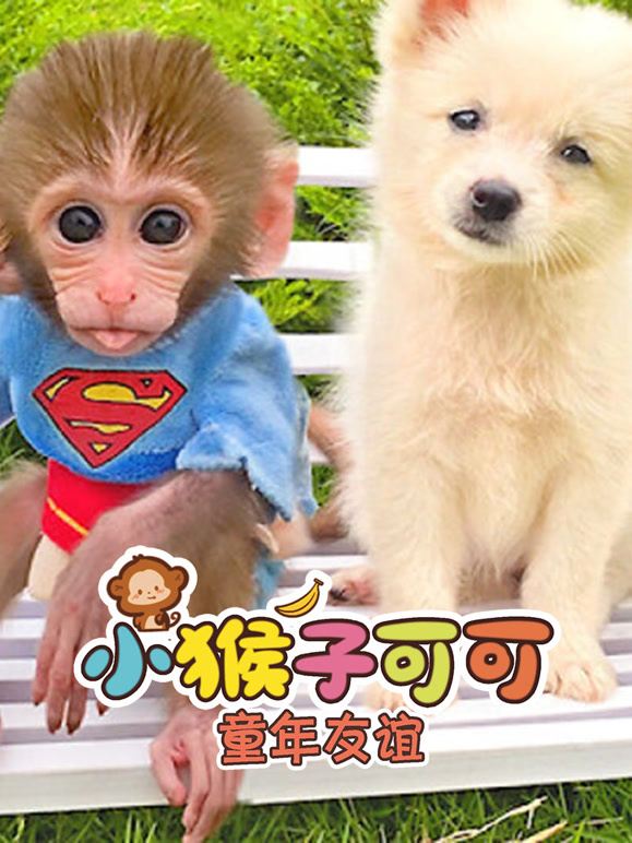 小猴子可可童年友谊