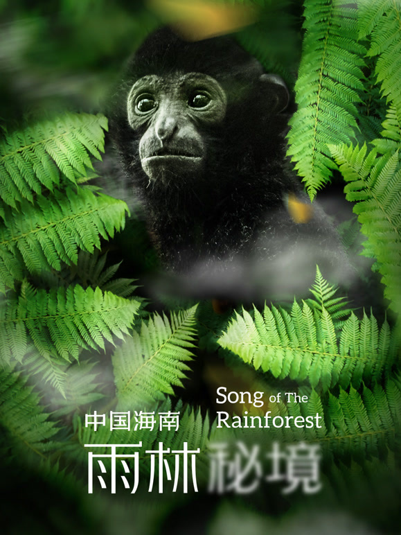 中国海南·雨林秘境