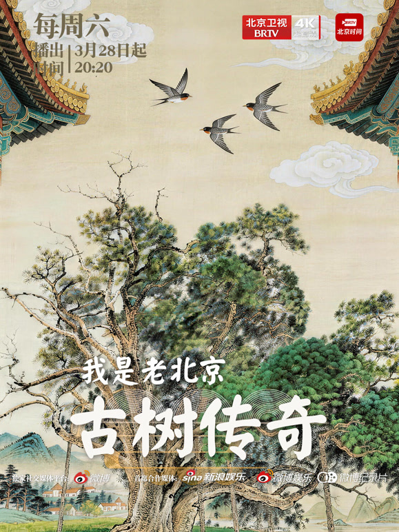 我是老北京——古树传奇