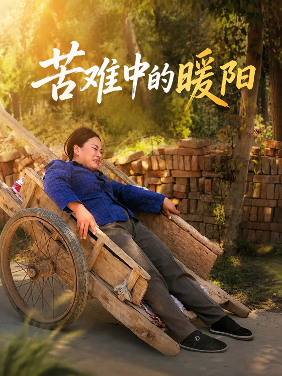苦难中的暖阳