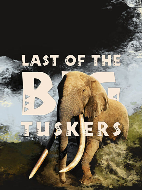 最后一只长牙象英文版