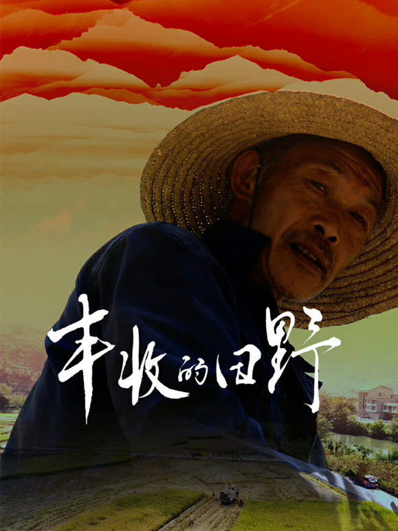 丰收的田野