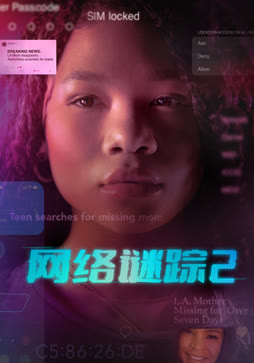 网络谜踪2（普通话）