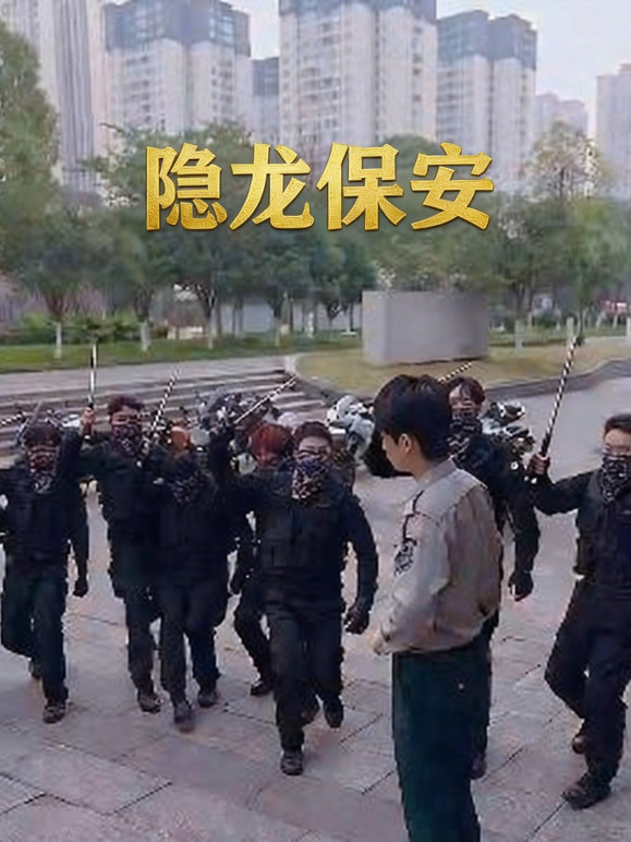 隐龙保安