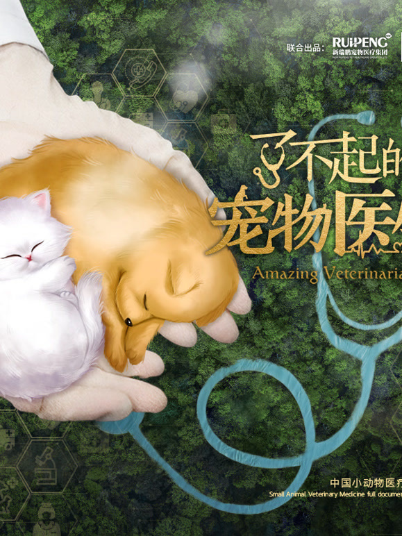 了不起的宠物医生