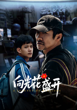 向光花盛开
