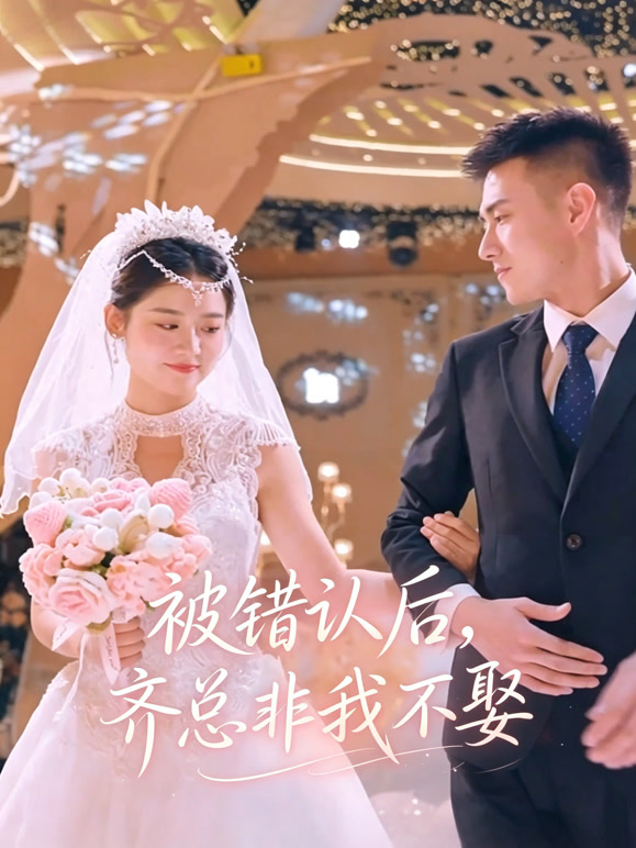 被错认后，齐总非我不娶