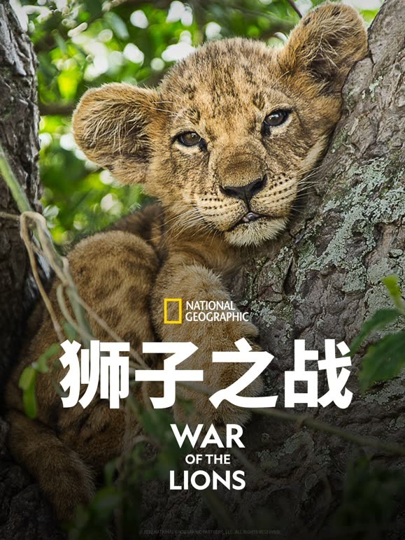 狮子之战