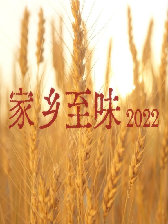 家乡至味2022
