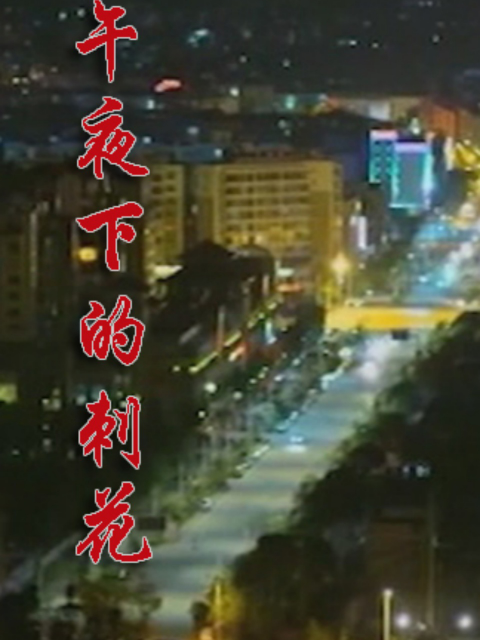 午夜下的刺花