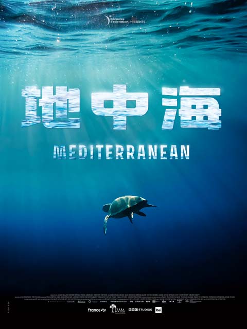 地中海（中配版）
