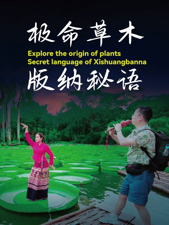 极命草木版纳秘语