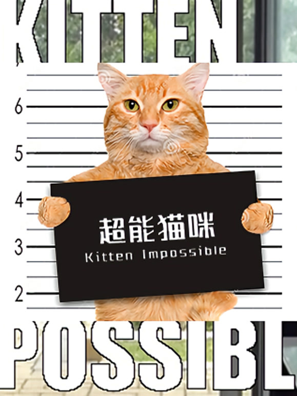 超能猫咪