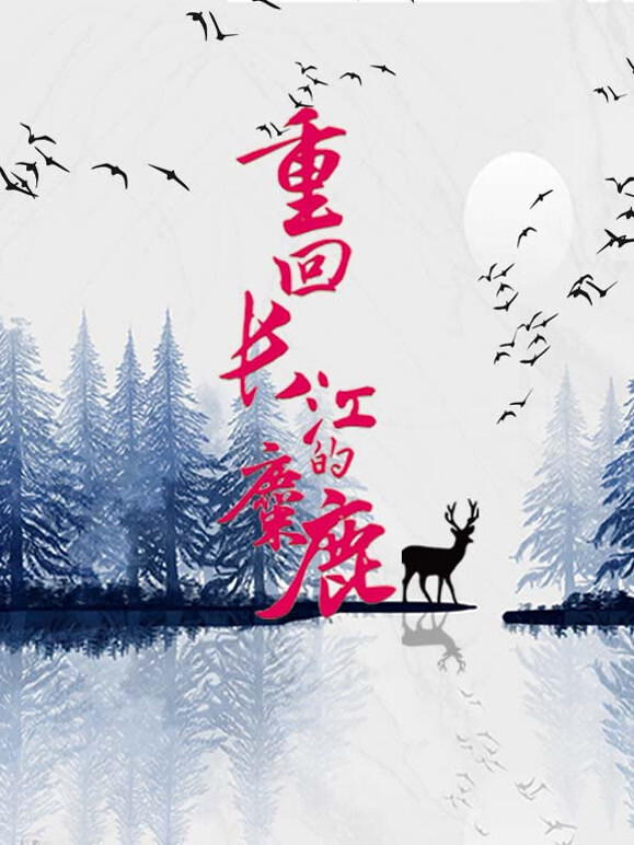 重回长江的麋鹿