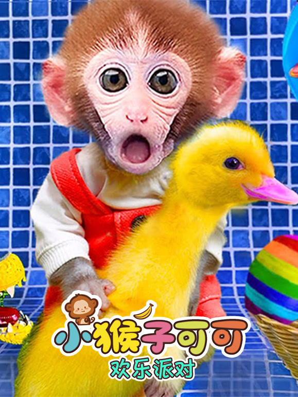 小猴子可可欢乐派对