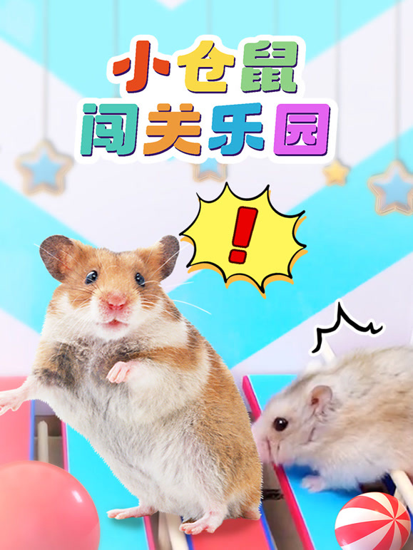 小仓鼠闯关乐园