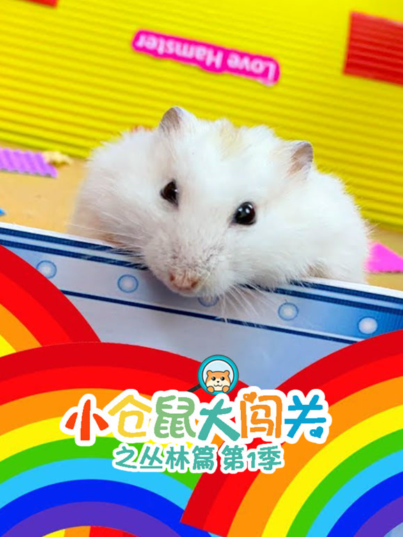 小仓鼠大闯关之丛林篇