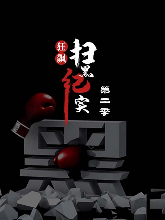 狂飙—扫黑纪实第二季