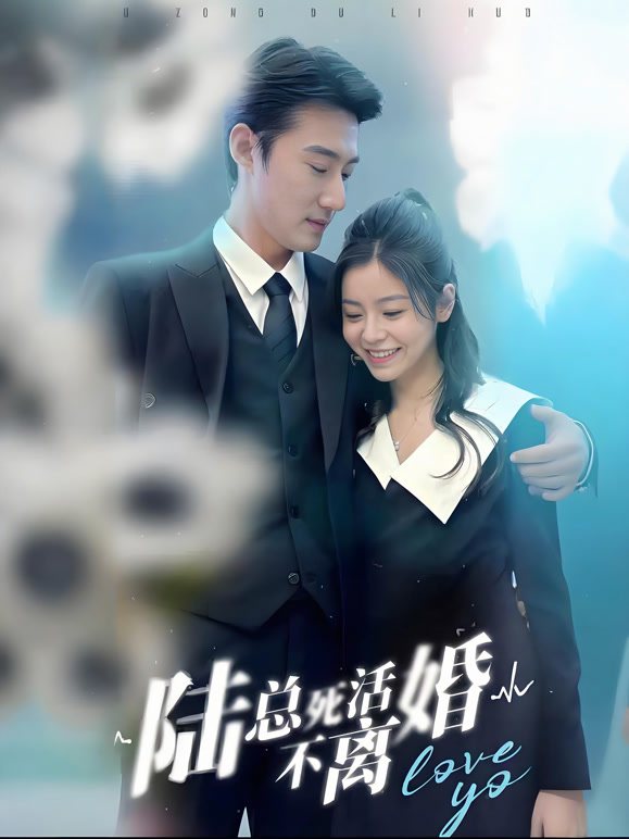 陆总死活不离婚